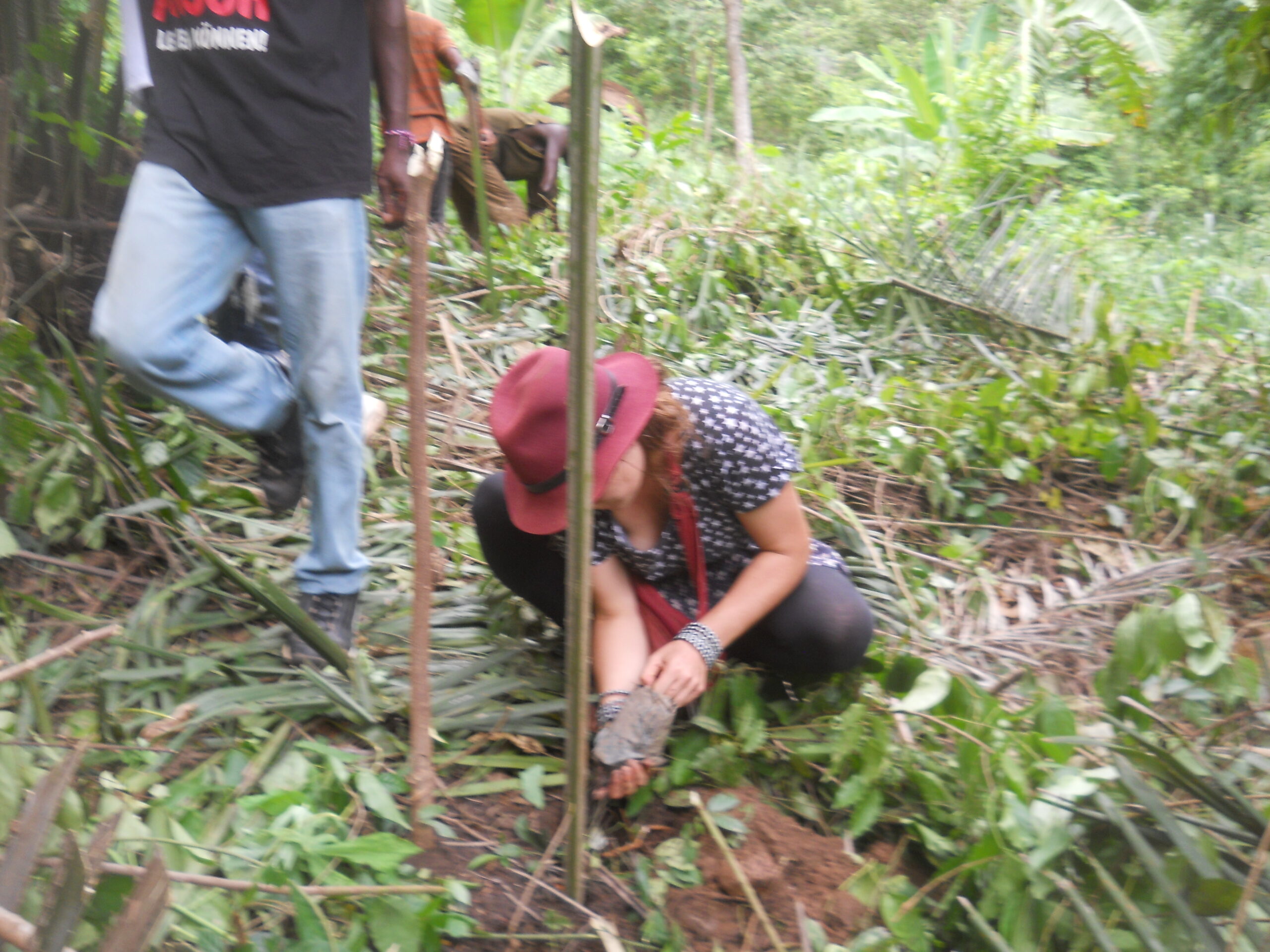Volunteer agroecology