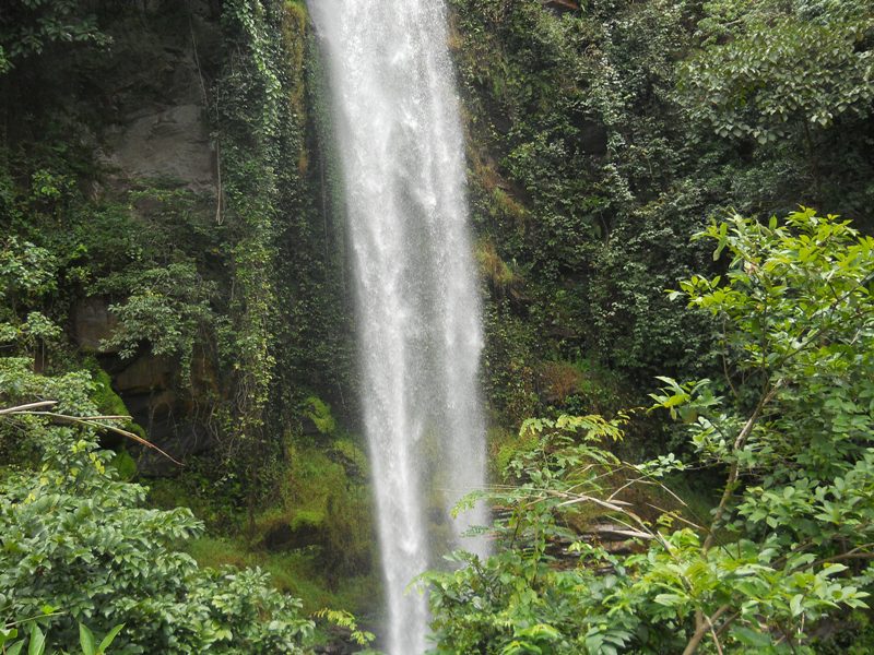 Project Ecovillage Centre des Hommes ECDH project land closest waterfall site