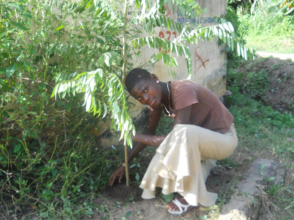  Past volunteering tree planting in school Kpalimé