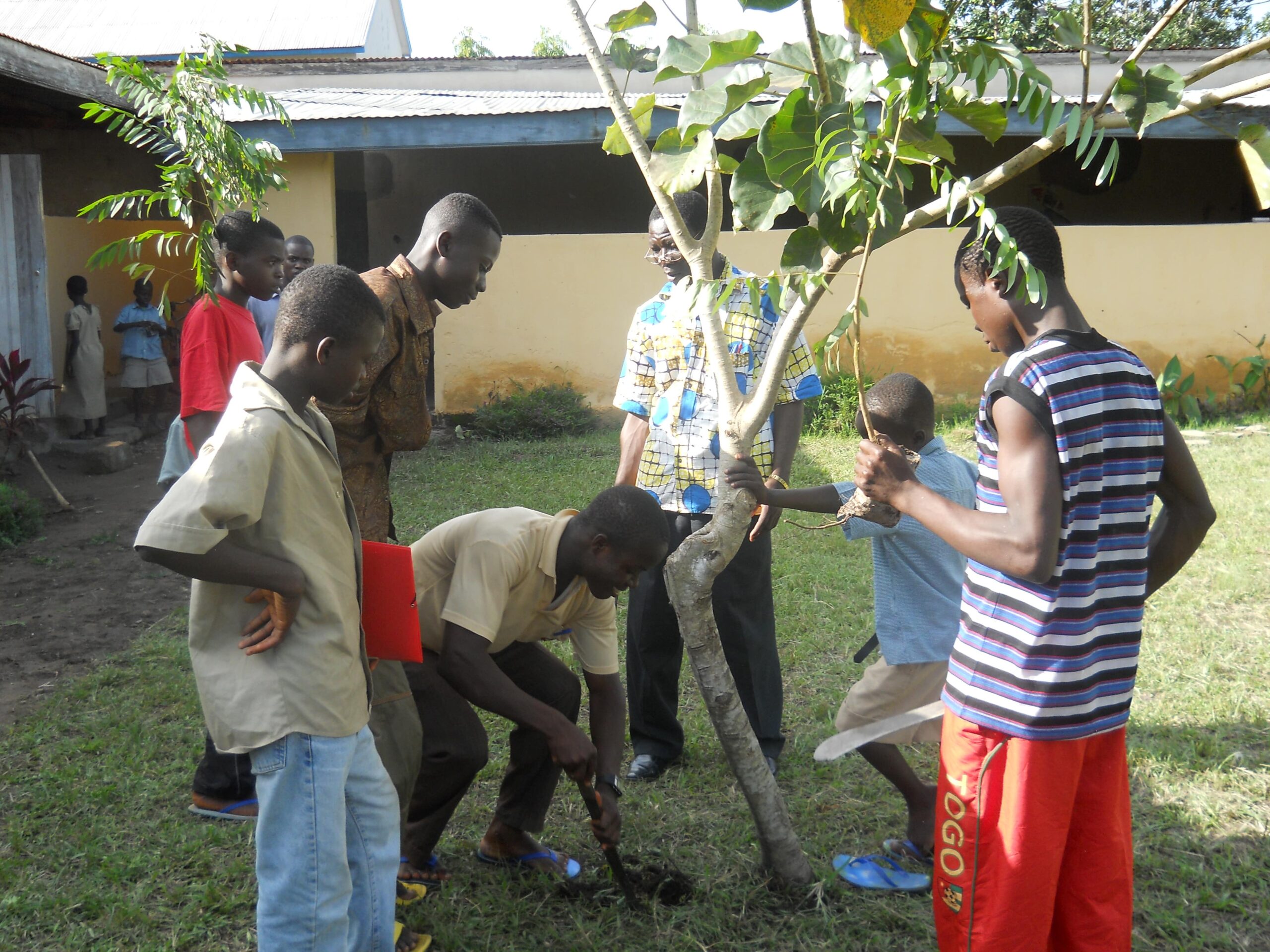 Past volunteering CDH about tree planting in the school yard