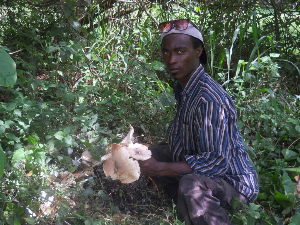 CDH promotes mushrooms production and raising money for water management.