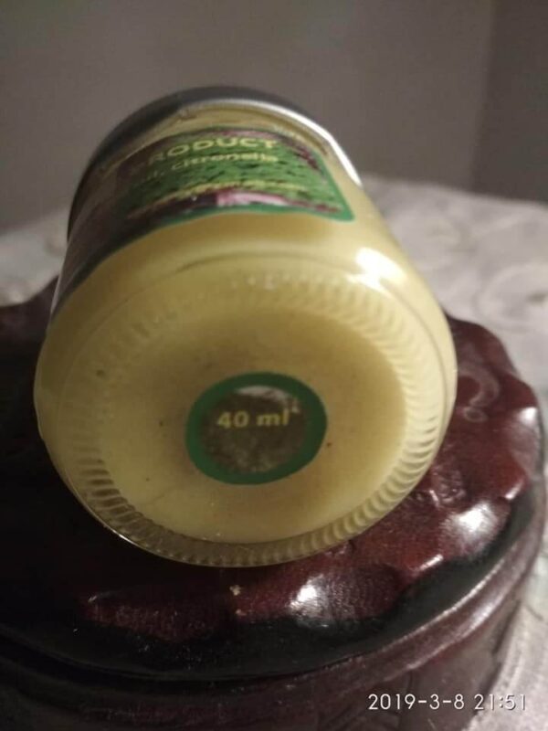 EcoMoringa cream 100% natural 7€/40ml - Image 3
