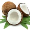 Noix de coco pour l'huile de coco