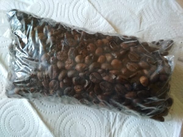 Robusta coffee beans