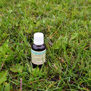 Peppermint oil