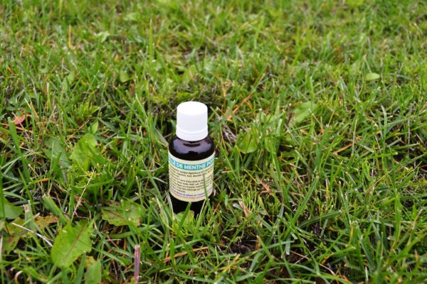 Peppermint oil