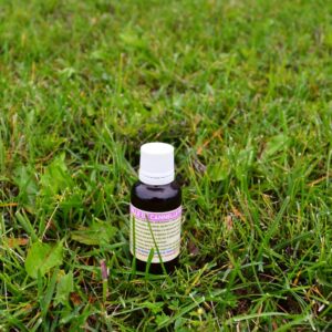 Cinnamon oil