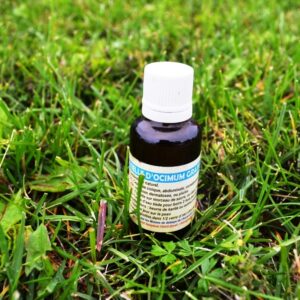 Ocimum oil