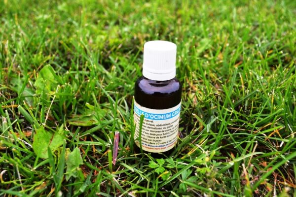 Ocimum oil