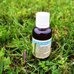 Ocimum oil