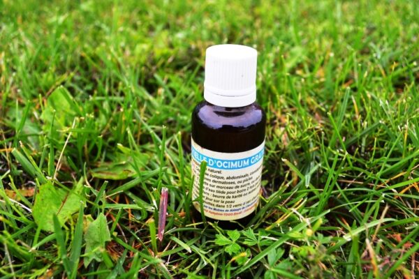 Ocimum oil